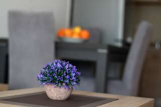 Апартаменты Apartments 28 Подгорица Улучшенные апартаменты-32