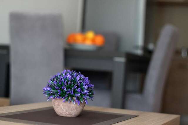 Апартаменты Apartments 28 Подгорица-44